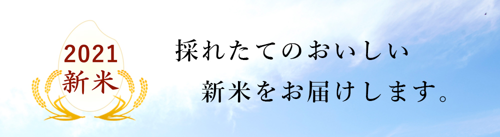 新米 2021年産