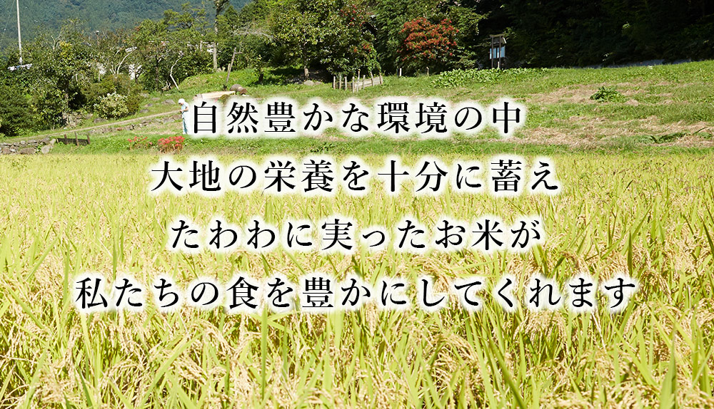 新米 2021年産