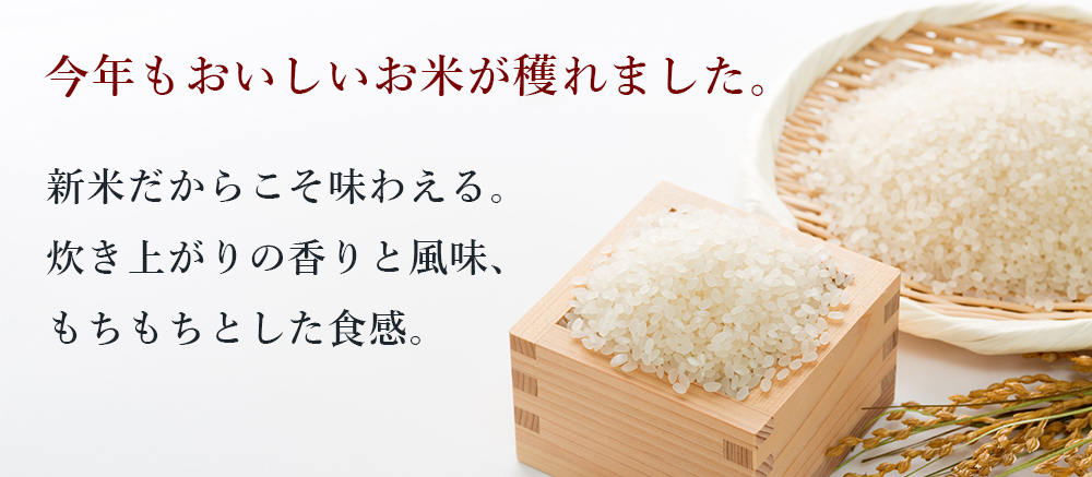 新米 2021年産