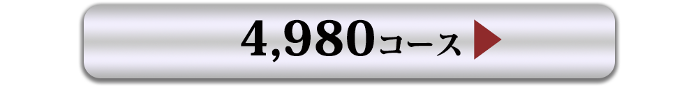 4980コース