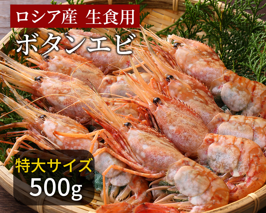 ボタンエビ 特大 500g