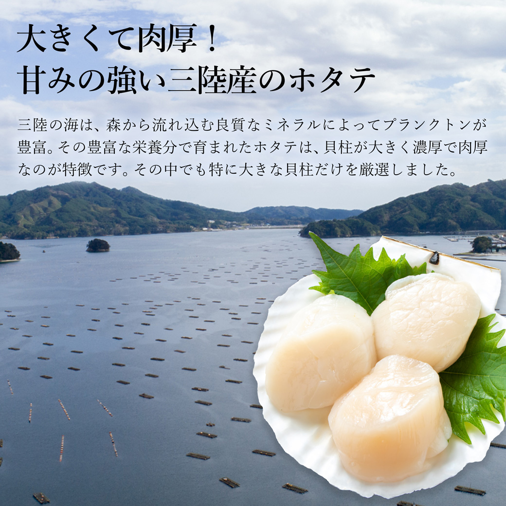 特大ほたて貝柱　五篤丸水産