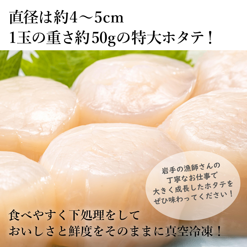 特大ほたて貝柱 五篤丸水産