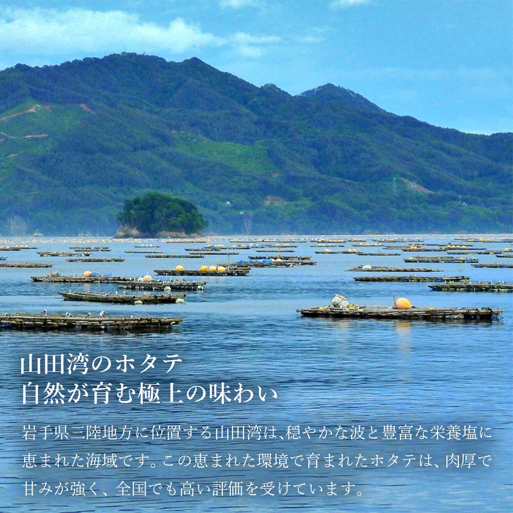 冷凍　ホタテ　貝柱　五篤丸水産