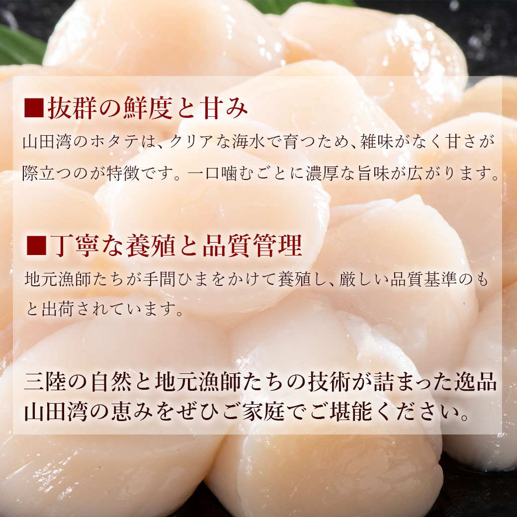 冷凍　ホタテ　貝柱　五篤丸水産
