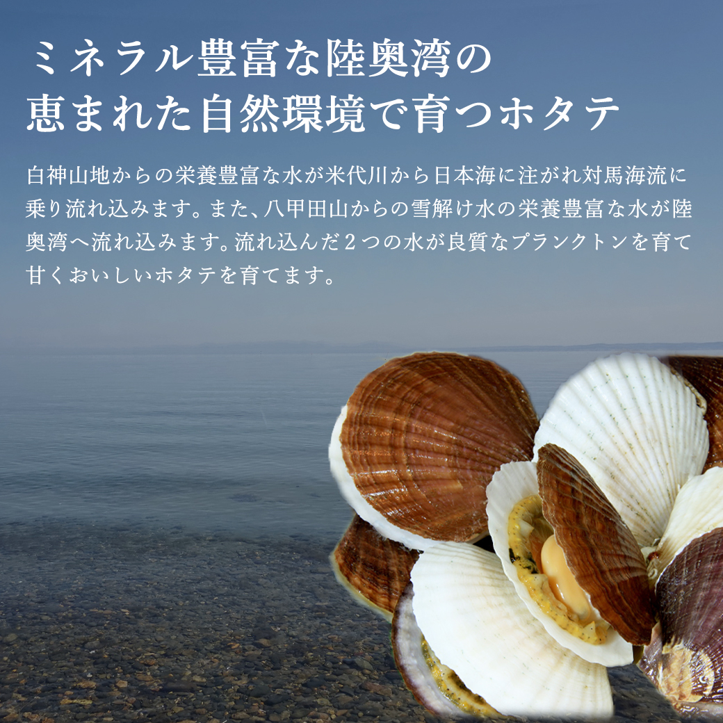 ほたて 水煮 缶詰 陸奥湾産 80g×6缶 タイム缶詰 3.11 お取り寄せ ほたて 水煮 缶詰 陸奥湾産 80g×6缶 タイム缶詰 3.11 お取り寄せ
