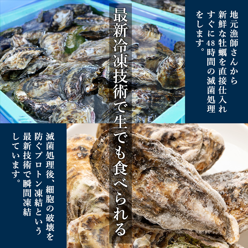 生食用 殻付き牡蠣 タイコウ