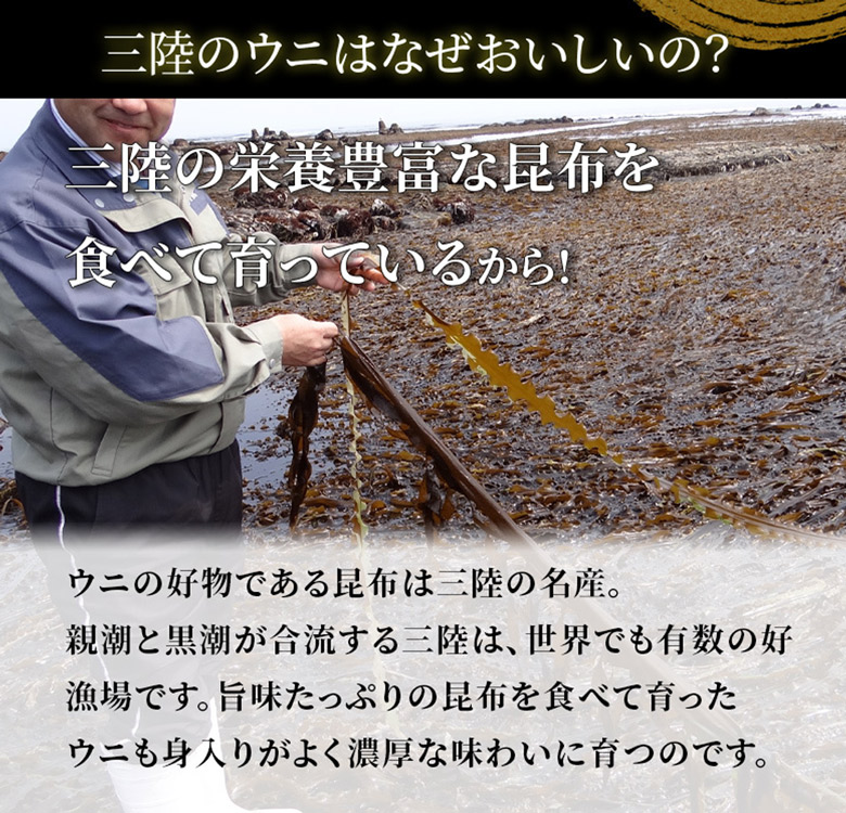 生うに　岩手　なぜおいしい