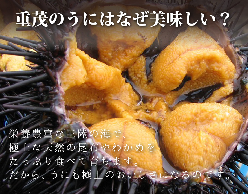 焼きうに　重茂産