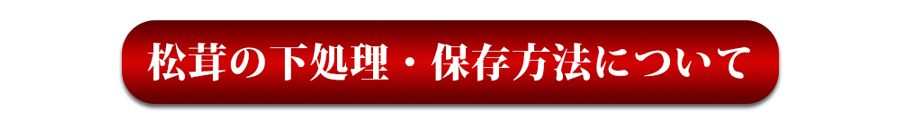松茸 下処理 保存方法バナー