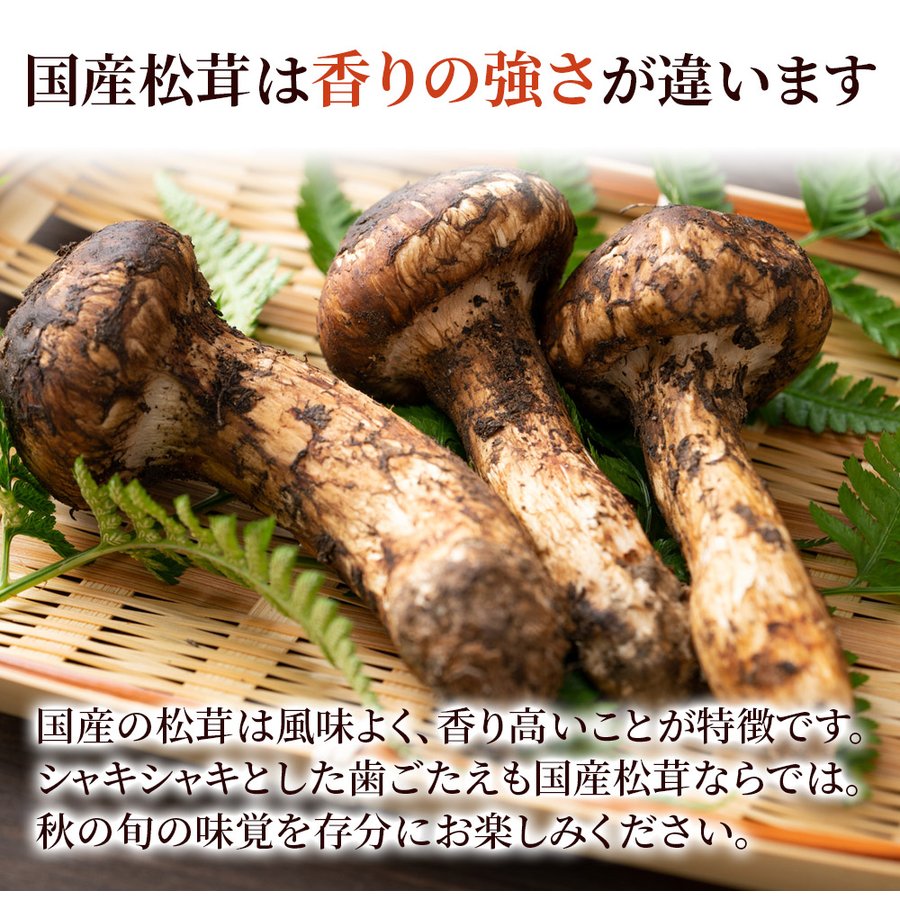 松茸