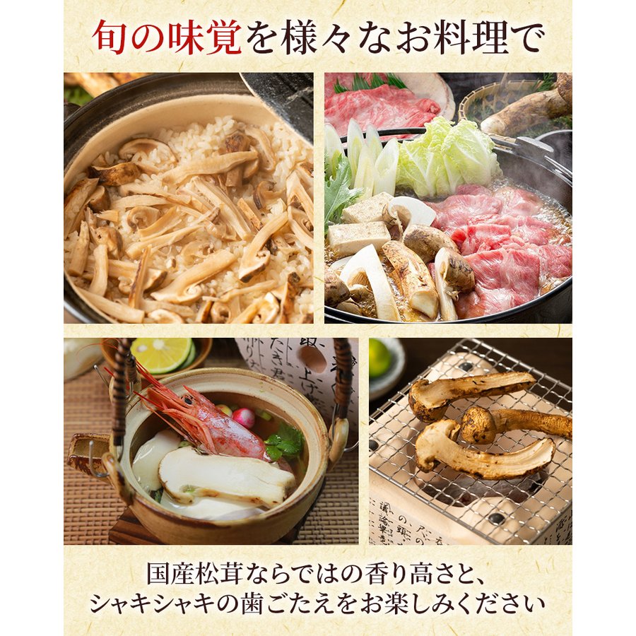 松茸　2022
