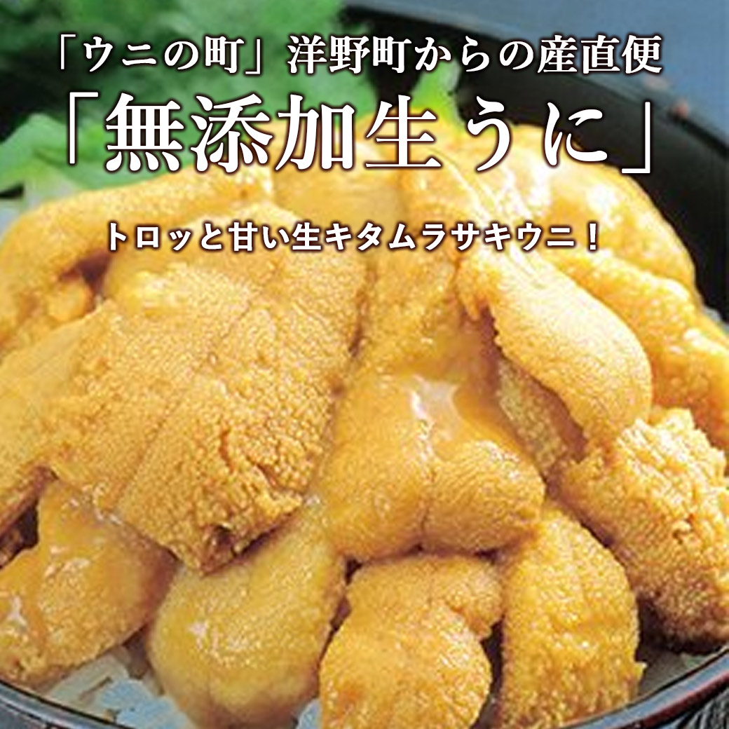 生うに　塩水パック80g　宏八屋