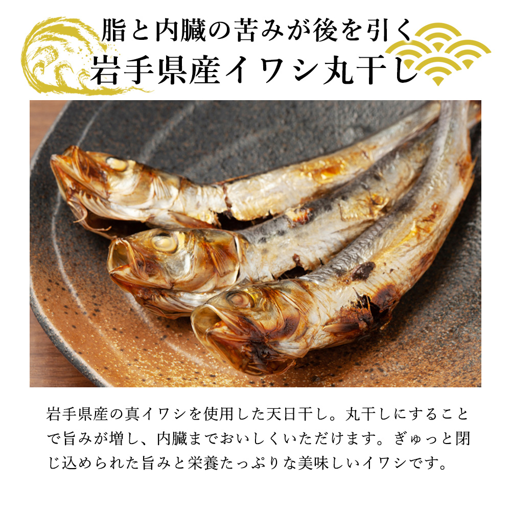 真イワシ 丸干し 小が理商店