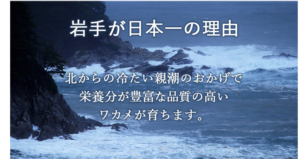 塩蔵わかめ　タイコウ