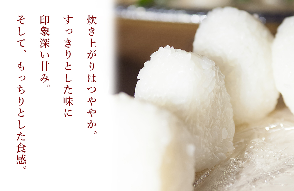 新米 たかたのゆめ