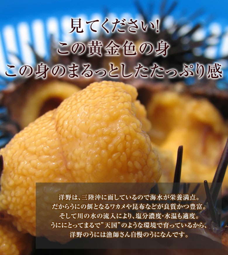 うに牧場 洋野町　宏八屋　瓶入り生うに