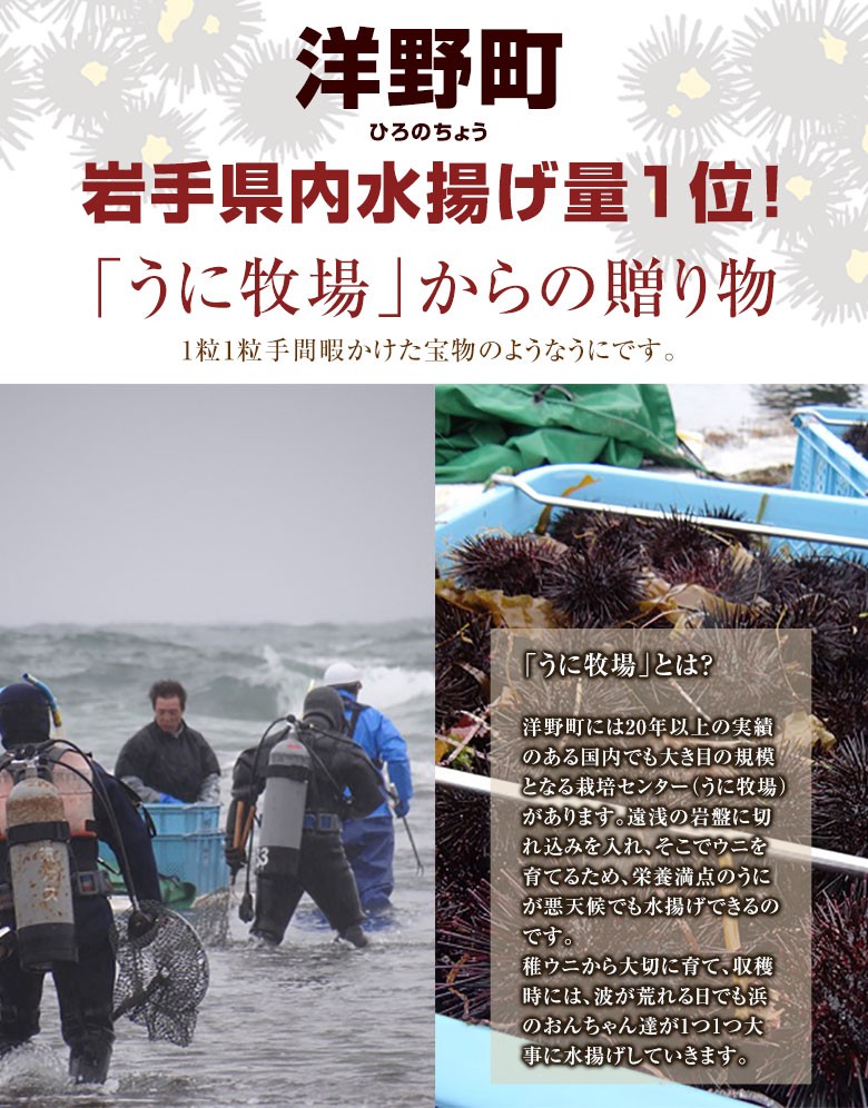 うに牧場 洋野町　宏八屋　瓶入り生うに