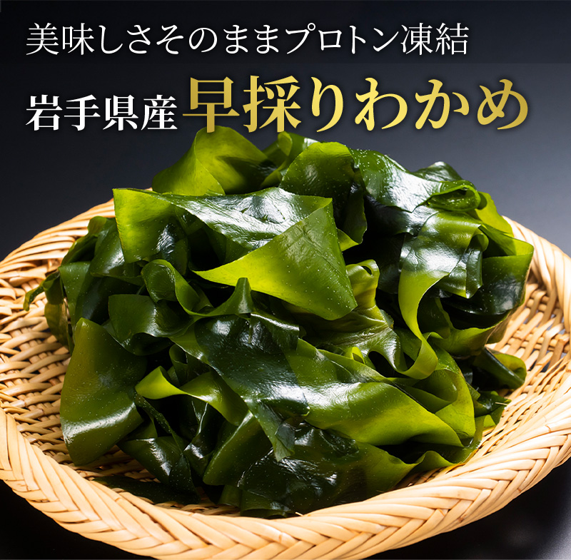 わかめ　早採りワカメ　生わかめ　日本まるごと新鮮市場　ワカメ　生ワカメ　200g×3個　三陸産　（タイコウ）3.11　冷凍