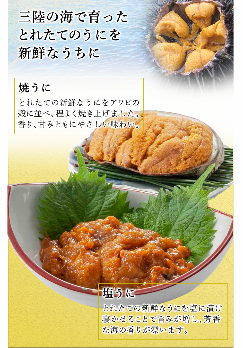 焼うに100g　ギフト　3.11　セット　五篤丸水産　お取り寄せ　うに　ウニ　プレゼント　2023　塩うに80g　送料無料　食べ比べ　各1個　日本まるごと新鮮市場